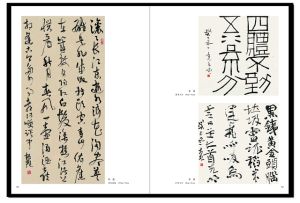 《蕭山區書法家協會會員精品集》