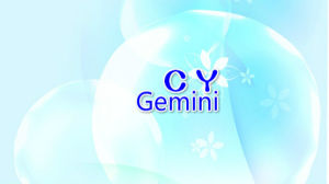 CY-gemini組合
