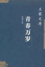 青春萬歲[作家王蒙創作小說]