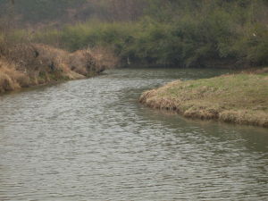 何店鎮花園村