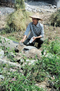 4月底巴河鎮恢復被損毀的灌渠，村民余秀珍用手指就可以將接縫處的水泥扒開。