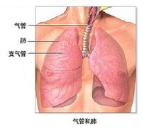 老年性肺炎