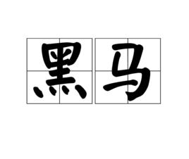 黑馬[漢語詞語]