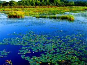 Jingpo Lake