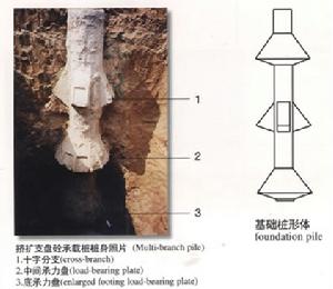 擠擴支盤樁