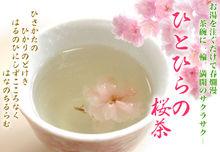 櫻花茶