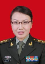 李莉[中國人民解放軍國防大學教授]