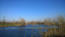 雙洎河自然濕地