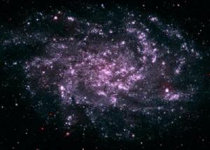 m33[M33星系]