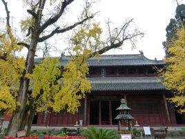 玉泉寺[山東省泰安市玉泉寺]