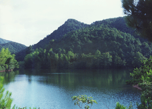 鵝湖山國家森林公園