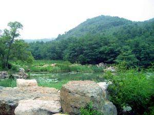 合皂山國家森林公園