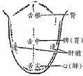 《丹溪脈訣指掌》