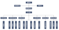 組織結構