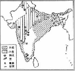 南亞物產分布