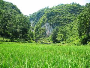 邵陽崀山旅遊區