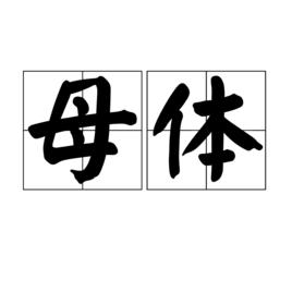 母體[詞語]