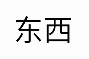 東西[漢語詞語]