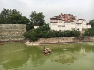 西藏億峰藏藥浴文化園