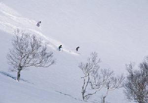 雪蓮山高爾夫燈光滑雪場