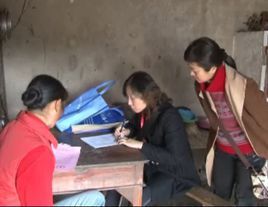 中國婦女社會地位調查