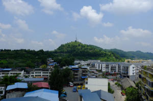 土橋村[四川省成都市溫江區土橋村]