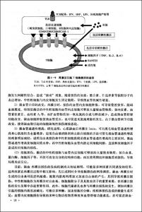 《心血管病理生理學》