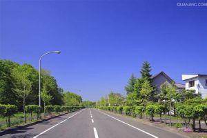 居住區(級)道路