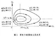 生物數學