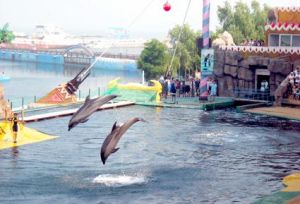 山海關樂島海洋公園