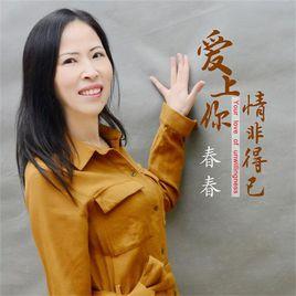 愛上你情非得已[春春演唱歌曲]