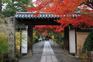 龍安寺