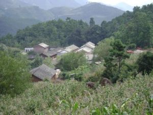 大地頭自然村[雲南省曲靖市會澤縣魯納鄉朝陽村]