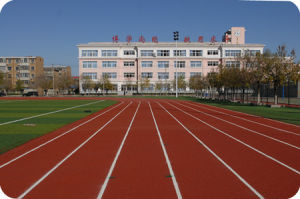 中國石油大學勝利學院