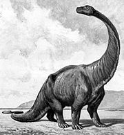 巨太龍（學名：Gigantosaurus）意為“巨型蜥蜴”，是種蜥腳下目恐龍，化石發現於英格蘭，目前狀態為疑名。模式種是巨爪巨太龍（G. megalonyx），是由哈利·絲利（Harry Seeley）在1869年所命名。巨太龍的學名有者複雜的分類歷史，常與非洲的重龍、拖尼龍、詹尼斯龍重複命名。此外，其學名與南方巨獸龍（Giganotosaurus）極度類似，也易產生混淆。巨太龍化石時期： 侏羅紀 巨太龍的早期想像圖 保護狀況 化石 科學分類 界： 動物界 Animalia 門： 脊索動物門 Chordata 綱： 蜥形綱 Sauropsida 目： 蜥臀目 Saurischia 亞目： 蜥腳形亞目 Sauropodomorpha 下目： 蜥腳下目 Sauropoda  種 巨爪巨太龍 G. megalonyx Seeley, 1869 (模式種)