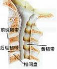 青島希敏骨科醫院