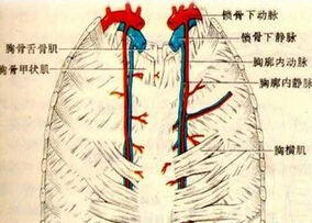 逆腹式呼吸