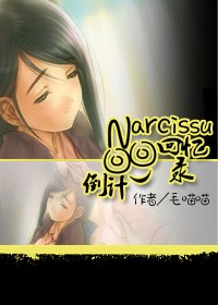 Narcissu倒計回憶錄