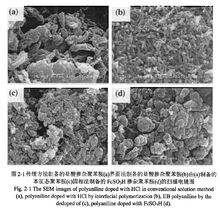 聚苯胺四種方法製備後的電鏡圖