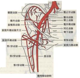 十字吻合