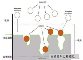 交換吸附