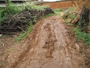 泥濘的村內道路