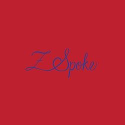 Z Spoke by Zac Posen