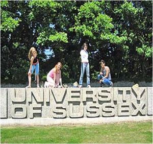 University of Sussex