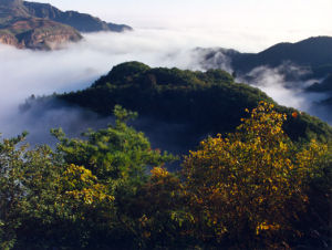 平涼郡