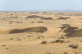 拋物線狀沙丘