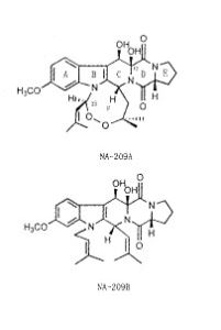 膽酶分離