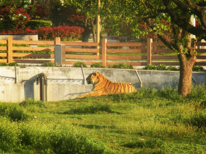 淮安動物園