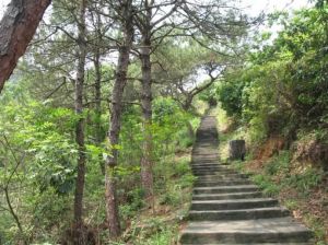 風雲嶺森林公園