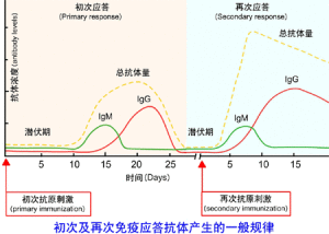 抗體效價分析